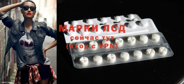 ECSTASY Бородино