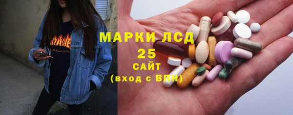 ECSTASY Бородино