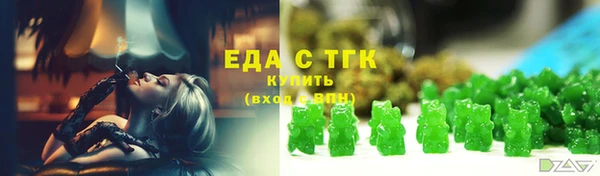 ECSTASY Бородино