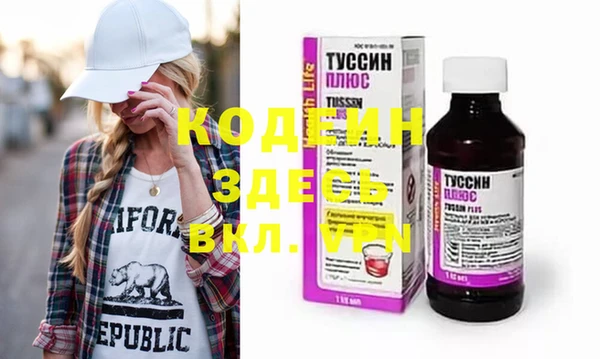 ECSTASY Бородино