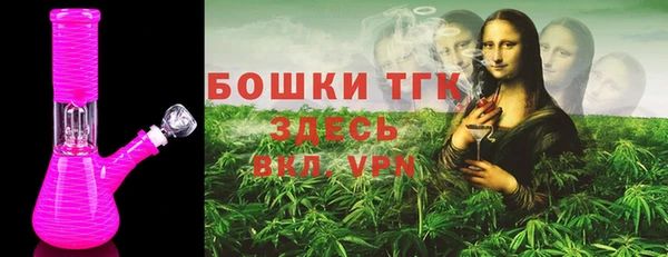 ECSTASY Бородино
