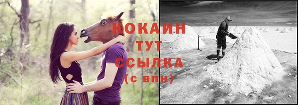 ECSTASY Бородино