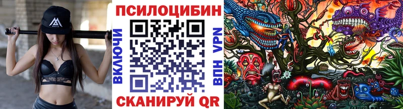 Галлюциногенные грибы Cubensis  продажа наркотиков  Фатеж 