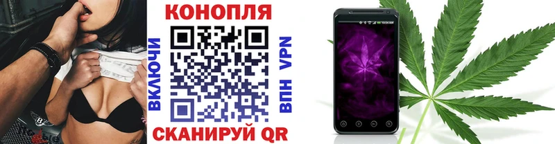 Канабис семена  Фатеж 